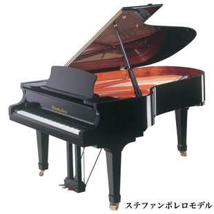 写真：
      AG-218E
      