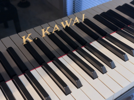 写真：グランドピアノ