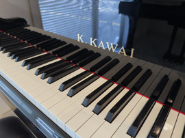 写真：グランドピアノ